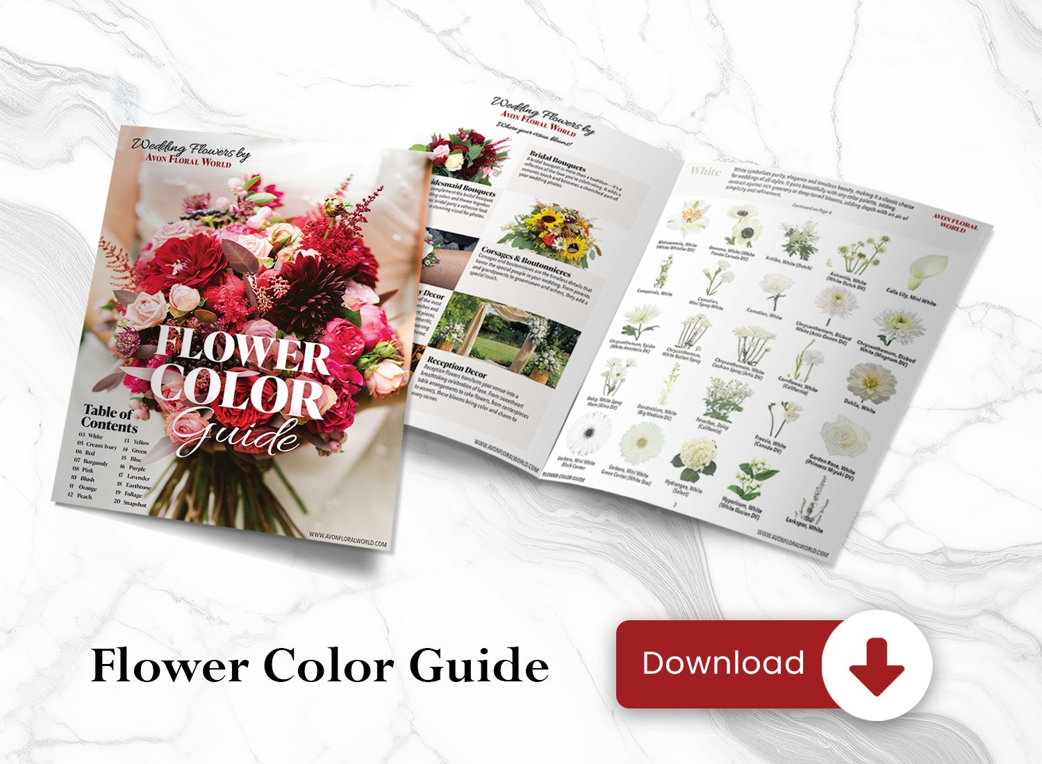 Avon Floral World Color Guide