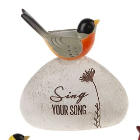 Sing your Song! Robin Message Rock