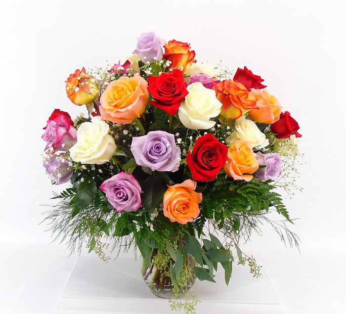 Two Dozen Colorful Roses