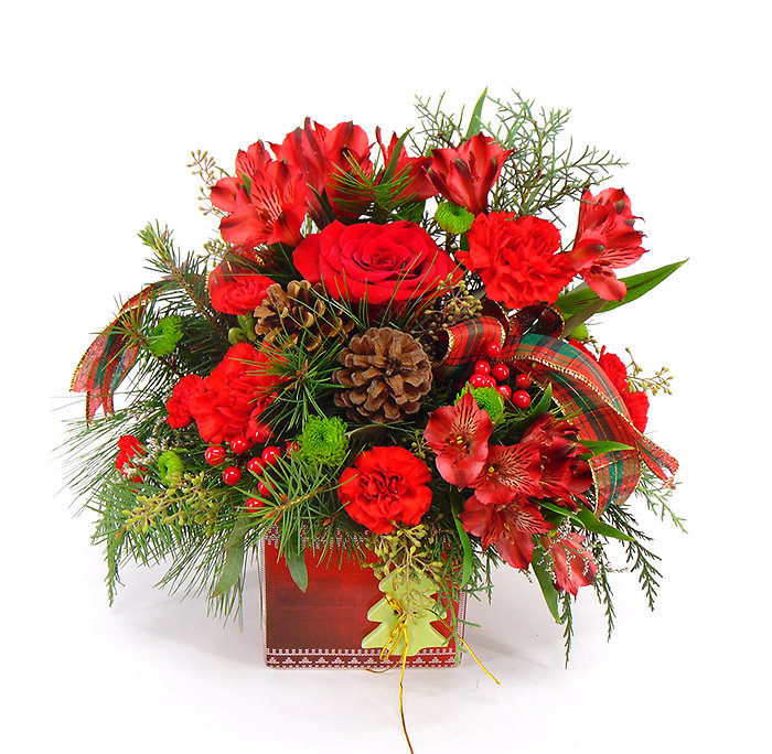 Red Winter Treasures