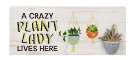 A Crazy Plant Lady Live Here-Pebble Shelf Sitter
