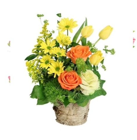 Rustic Spring