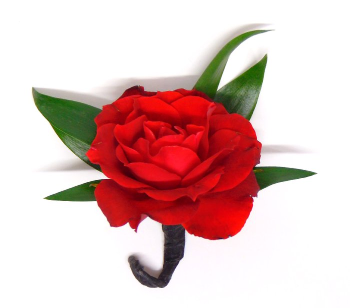 Single Open Red Spray Rose Boutonniere
