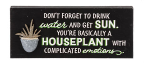 You\'re Basically a Houseplant with Emotions, Pebble Shelf Sitte