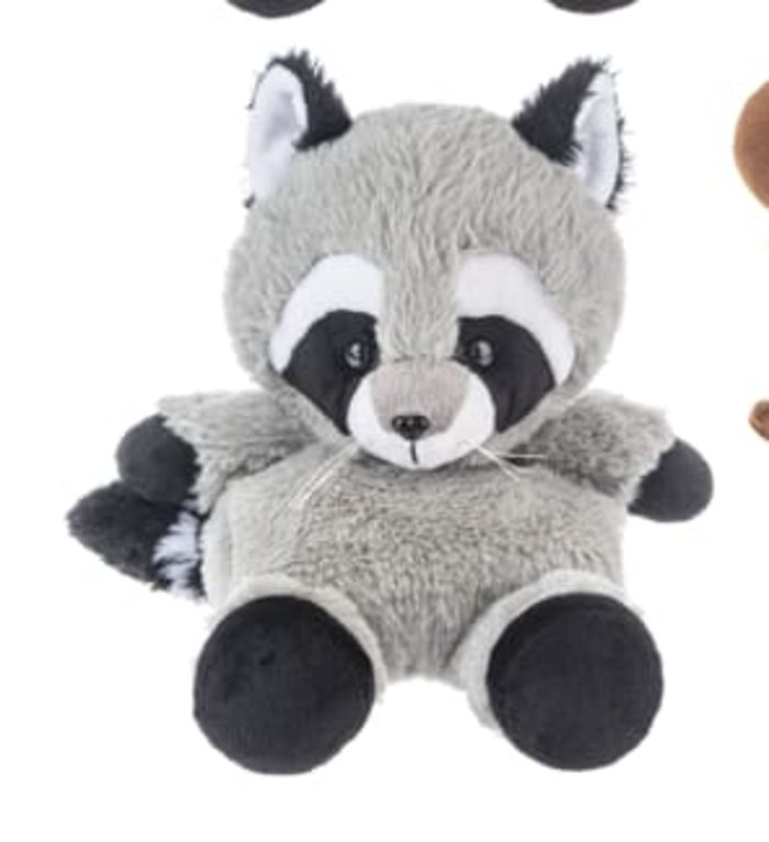 Woodland Racoon