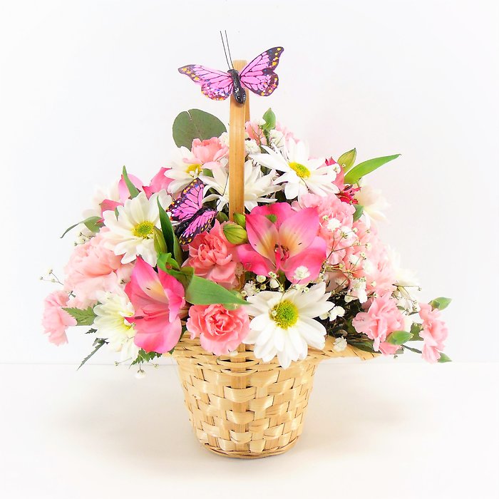 Butterflies &amp; Blooms