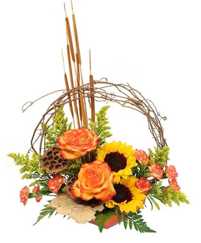 Autumn Arbor