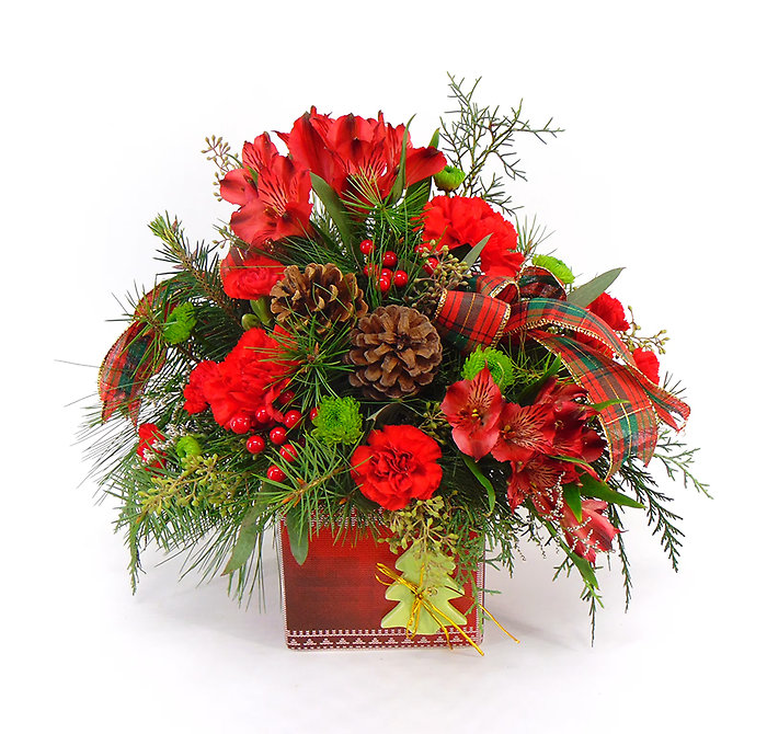 Red Winter Treasures
