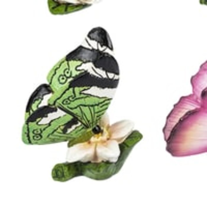 August Birthday Butterfly &amp; Flower of the Month