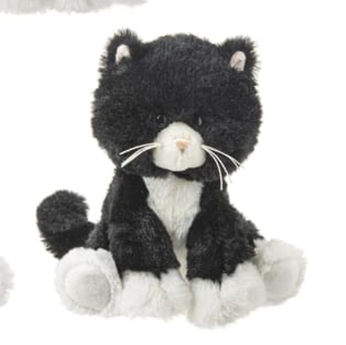 Kibbles Kitten Black