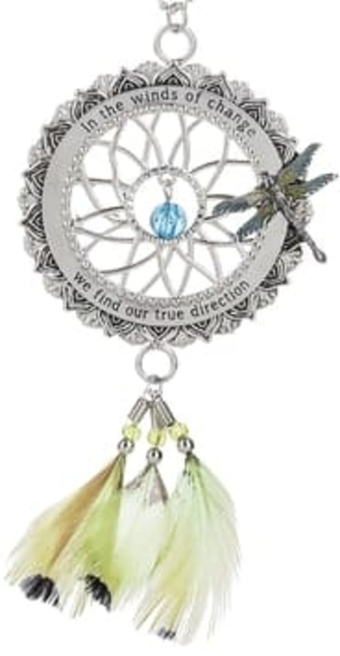 In the winds of change we find our true direction dragonfly drea