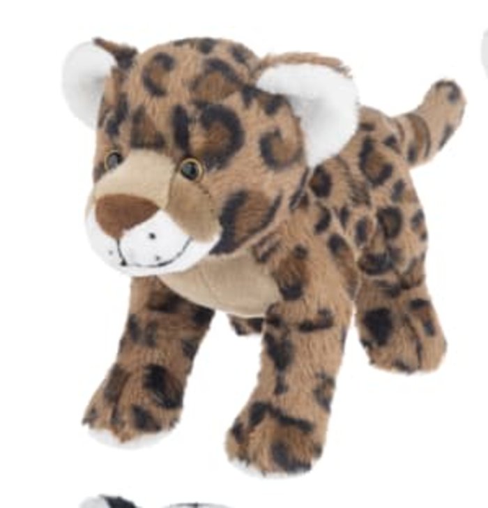 Brown Leopard