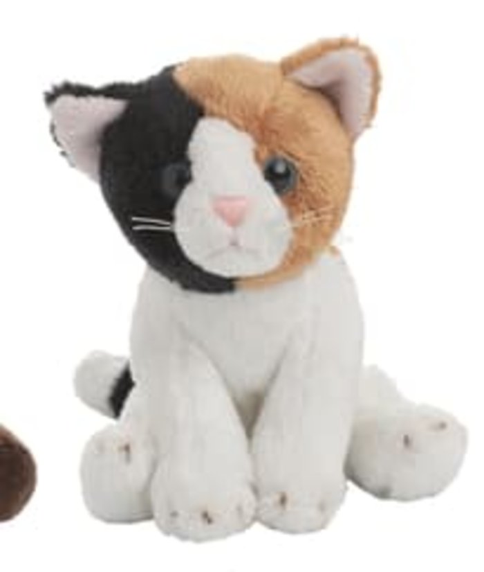 Calico Mini Cat