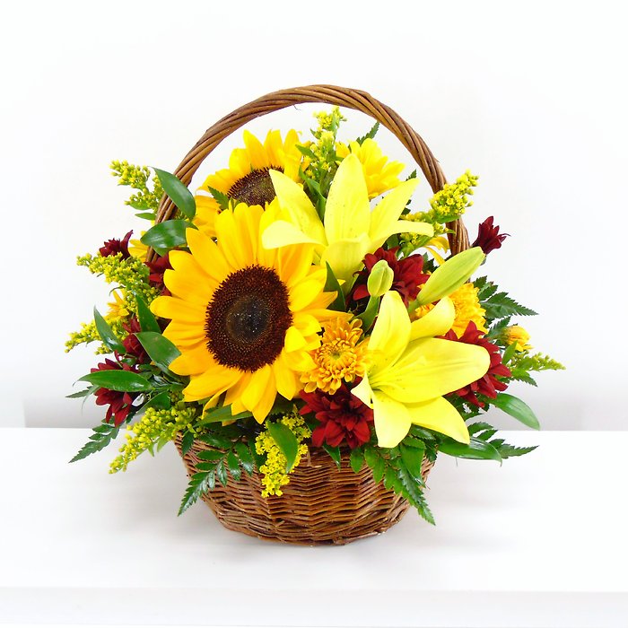 Sunflower Fields