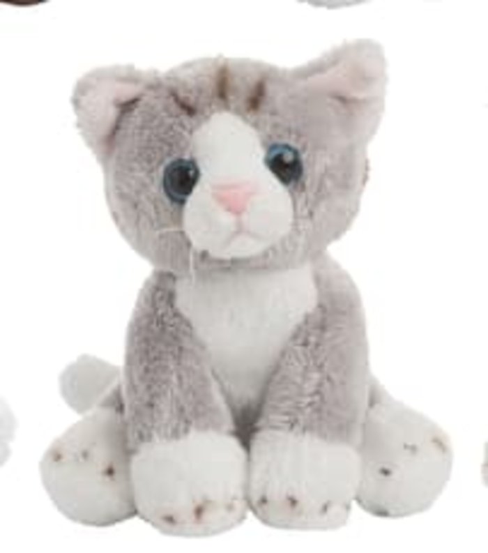 Grey Mini Cat