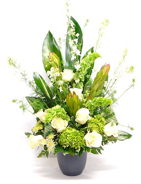 Noble Nature Tribute