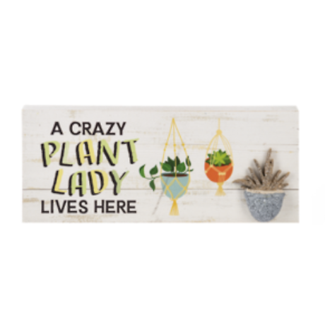 A Crazy Plant Lady Live Here-Pebble Shelf Sitter
