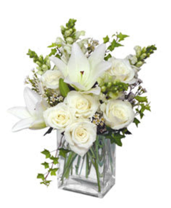 Wonderful White