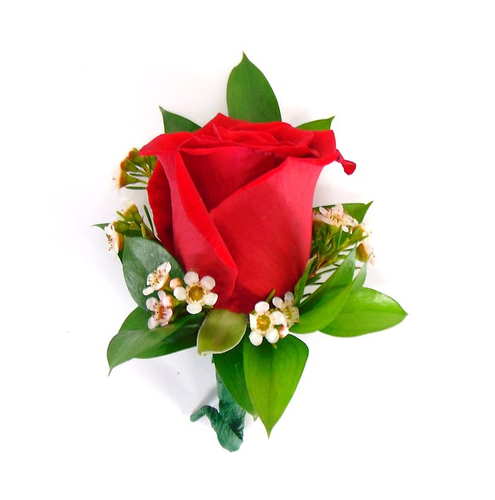 Red Rose Boutonniere