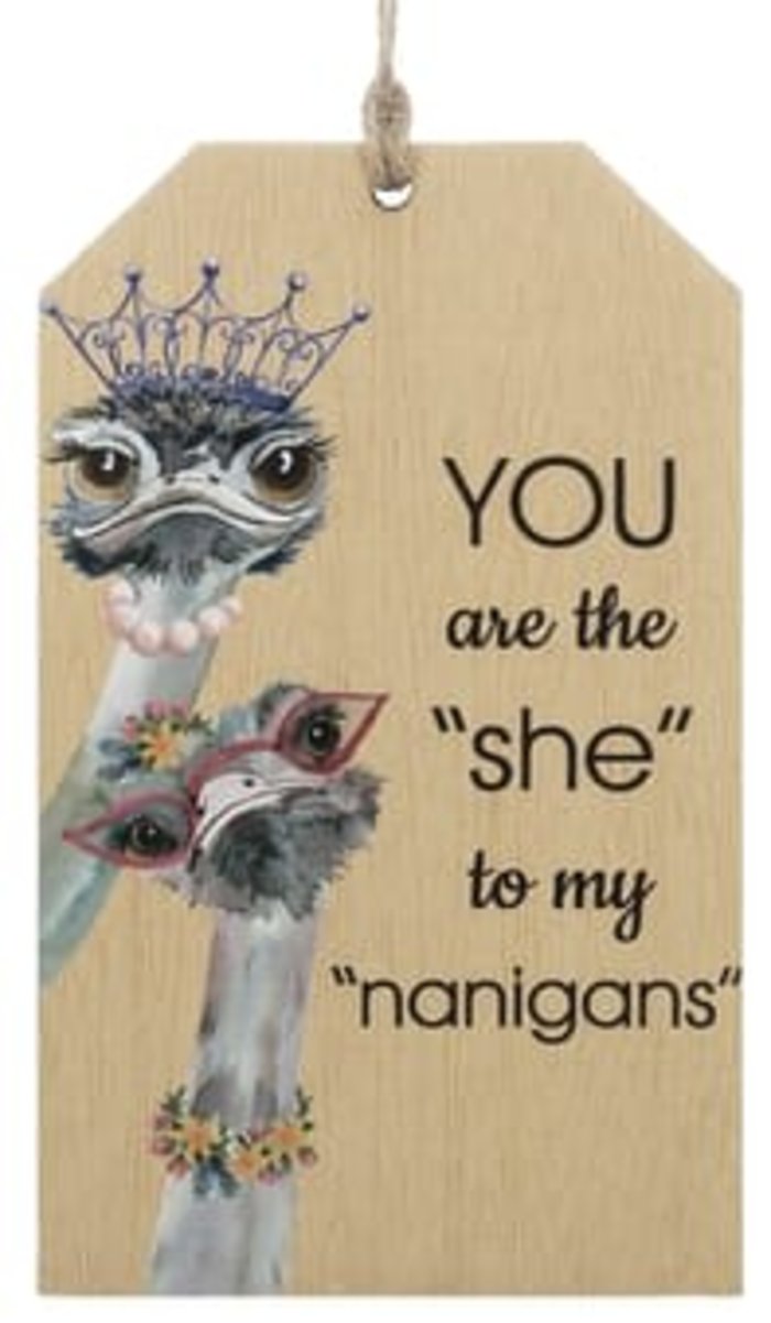 You are the she to my nanigans wood tag.