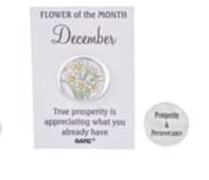 December Flower of the Month
